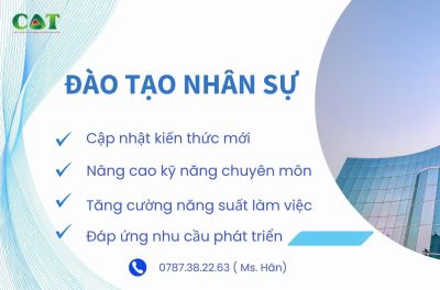 Dịch vụ đào tạo