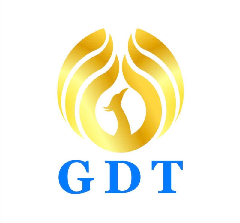 CTy GDT